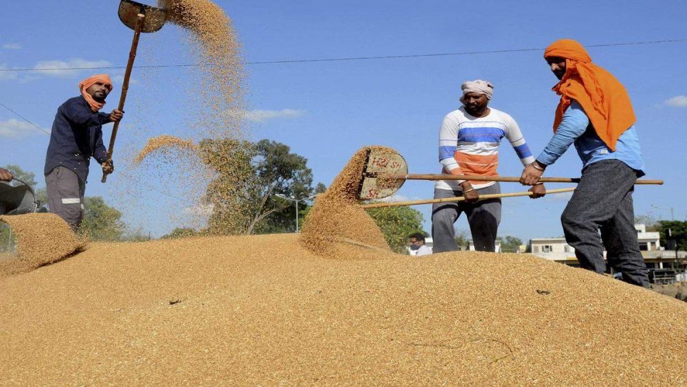Wheat stocks in the country’s Central Pool hit a five-year low in May