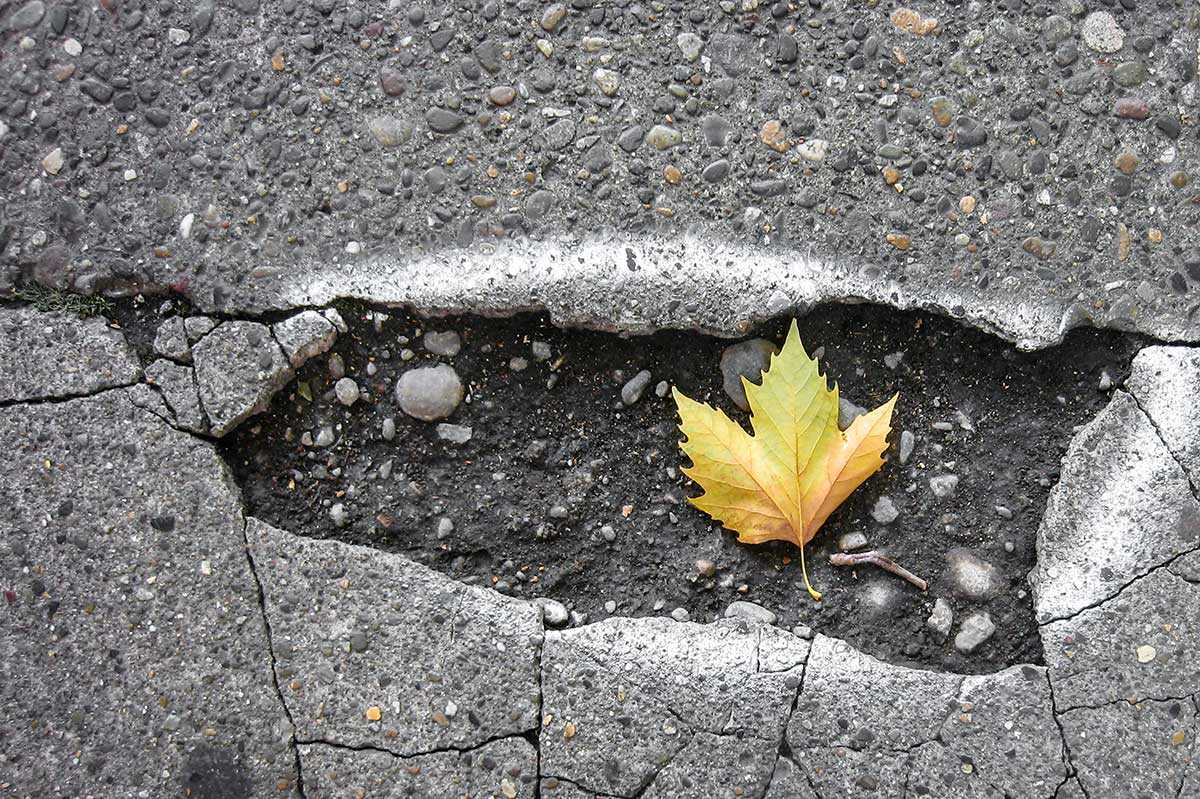 Damage compensation costs could have filled 340,000 potholes