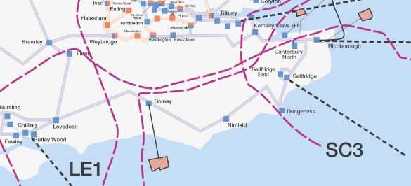 Fears For Wildlife After Plans Revealed For New Electricity Line