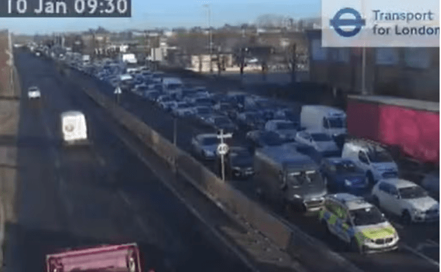 Hit-and-Run In North London Claims Life Of Woman And Two Dogs