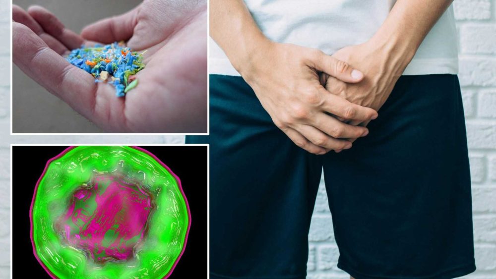 Double blow as microplastics found in penises for first time and ‘symptomless’ STI threatens male fertility