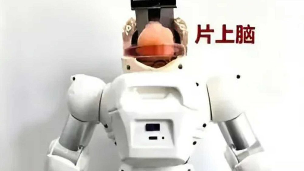 China builds robot with lab-grown HUMAN BRAIN dubbed ‘Organoid’ in Frankenstein experiment to create ‘hybrid machines’