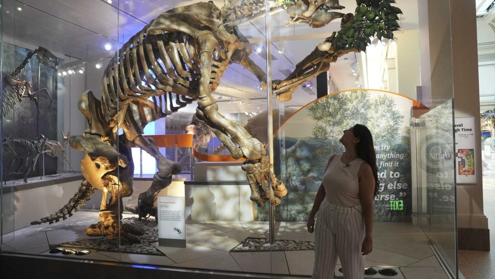 Four-ton mega-sloths with flesh-rending claws ‘lived alongside humans for 10,000 years…& we used their bones as jewels’