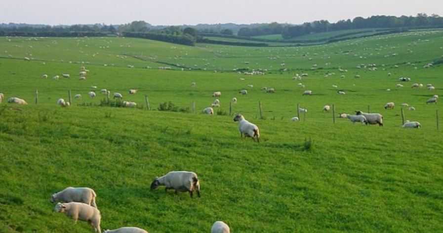 Kent Countryside At Risk Of Huge Housing Developments